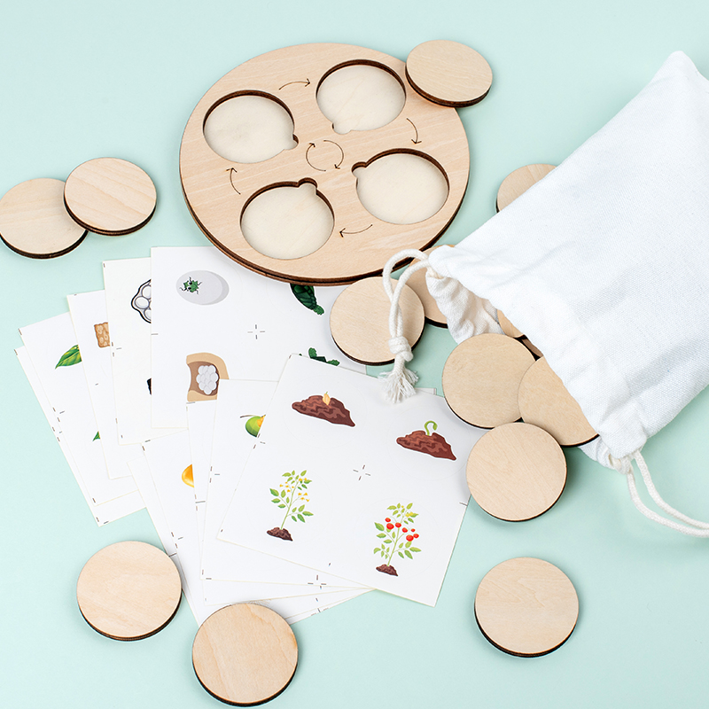 Доска с жизненным циклом, комп – обзор и цена Montessori Shelf Toy